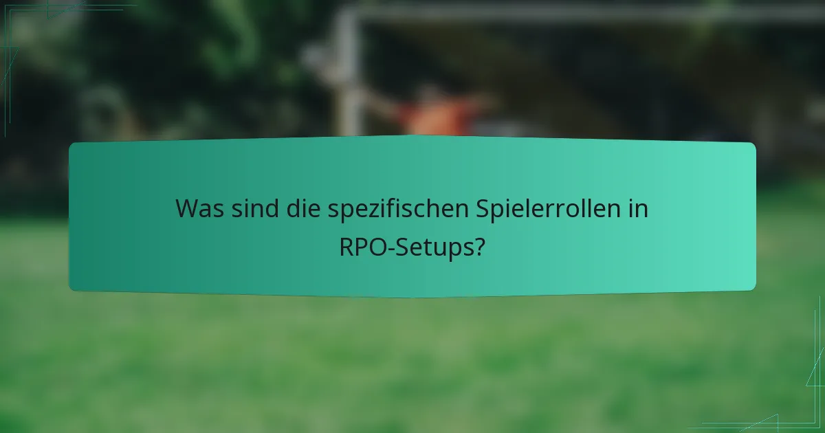 Was sind die spezifischen Spielerrollen in RPO-Setups?