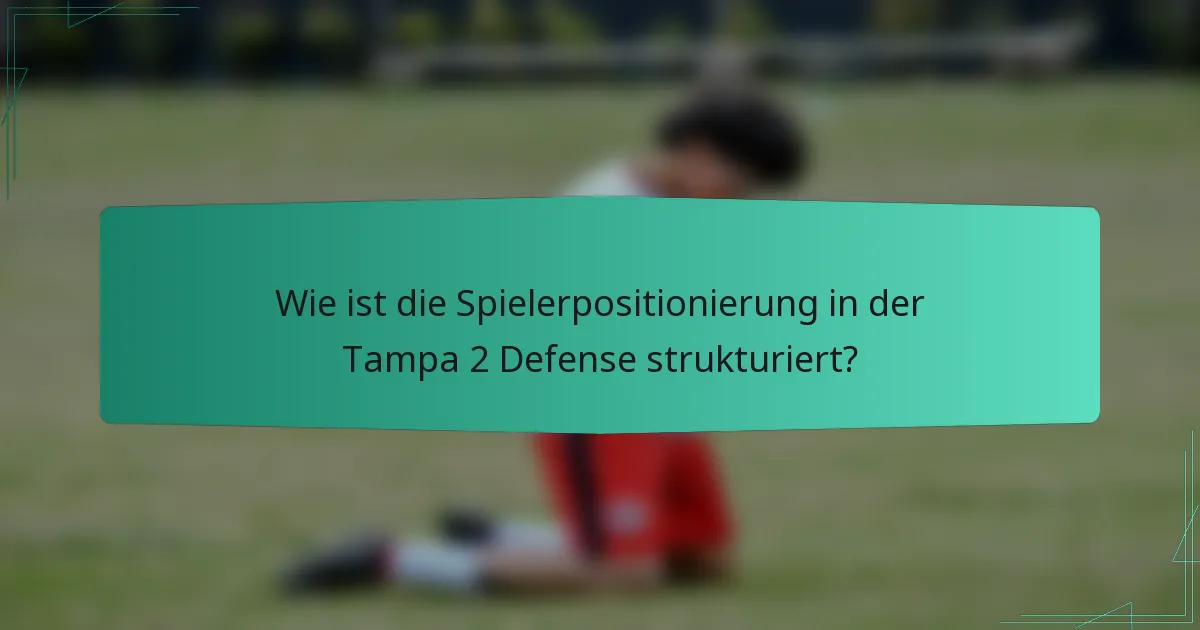 Wie ist die Spielerpositionierung in der Tampa 2 Defense strukturiert?